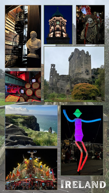 Blog 02_Kalyn Flores_Image 01