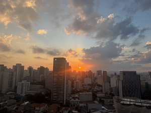 fatima-holguin-finalblog-image3