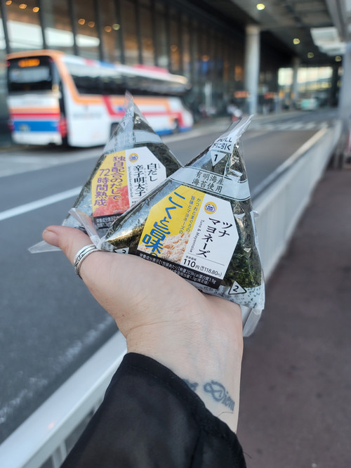 Japanese Onigiri 