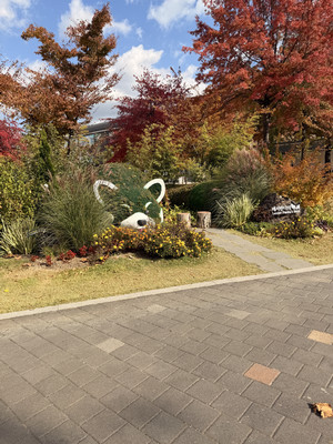 Kayla Johns_Blog03_Image01