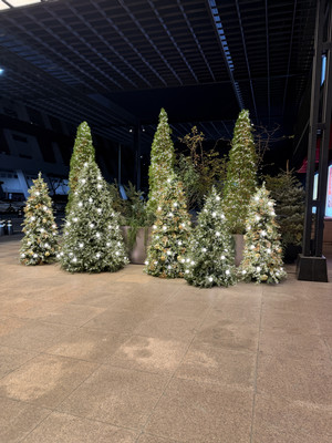 Kayla Johns_Blog03_Image03