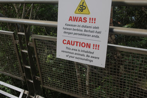 Lilyan Link_Blog #2_Image 2