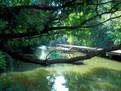 Link_Blog Abroad 01_03