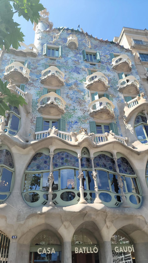 Montoya_Blog 7_Image 3