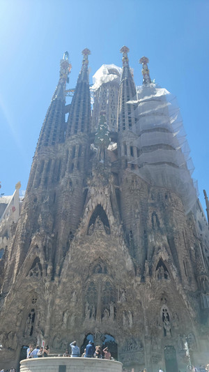 Montoya_Blog 7_Image 5