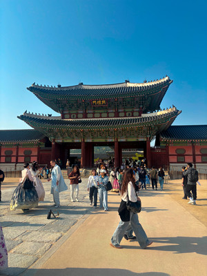 Pacheco_Blog #2_image 3