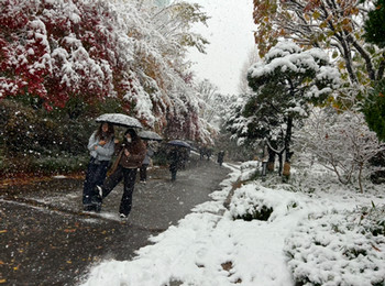 Perrone_Final Blog_02