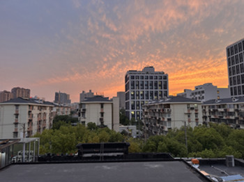 Salas_Blog #6_Image 1