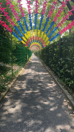 Salas_Blog #6_Image 3