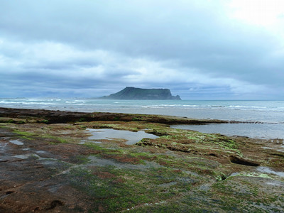 Schulz_Blog #4_Image 1