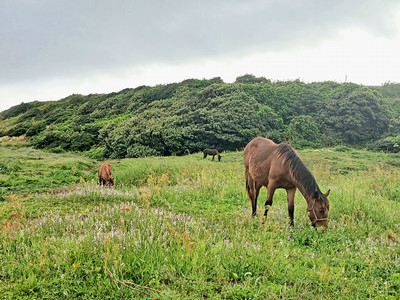 Schulz_Blog #4_Image 2