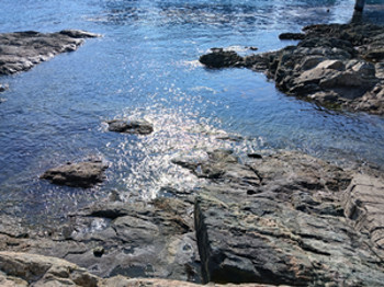 Schulz_Blog #5_Image 4