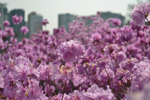 Schulz_Blog Abroad #2_Image 1