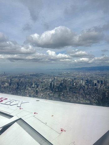 sophia-pacheco-blog06-image-1