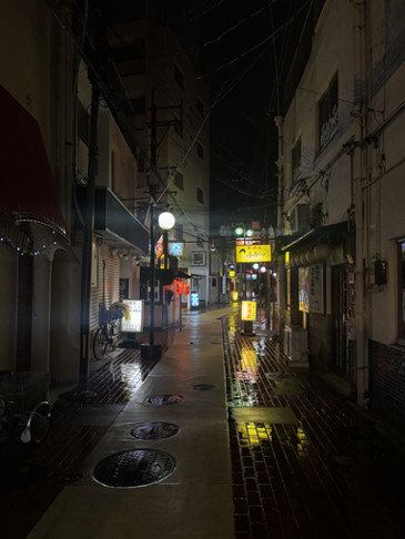 sophia-pacheco-image-1