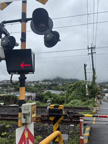 sophia-pacheco-image-3