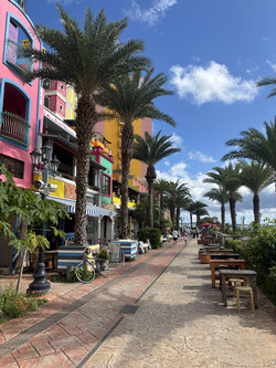 sophia pacheco_finalblog_image3