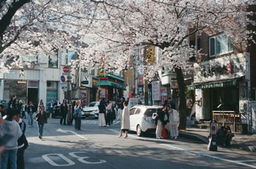 sophia-schulz-finalblog-image1