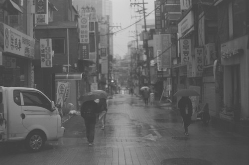 sophia-schulz-finalblog-image2