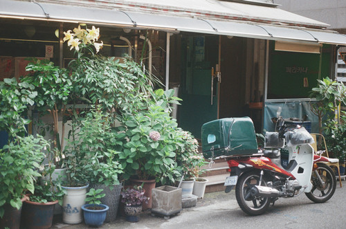 sophia-schulz-finalblog-image3