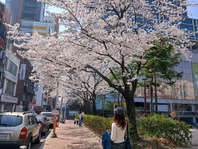 Sophia Schulz_Blog #3_Image 2