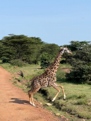 vivienne-rouge-blog03-image2