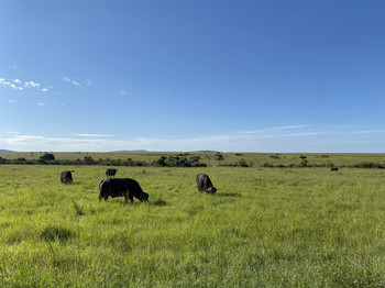 vivienne-rouge-blog03-image3