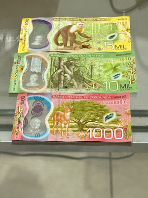 Jocelynn Vigil-Madrid_Blog02_image03