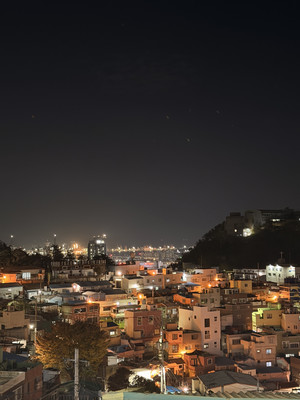 Kayla Johns_Blog 4_Image 03